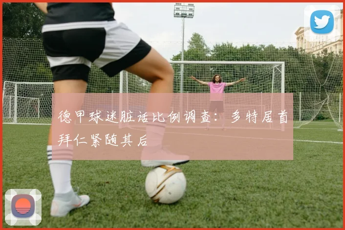 德甲球迷脏话比例调查：多特居首拜仁紧随其后