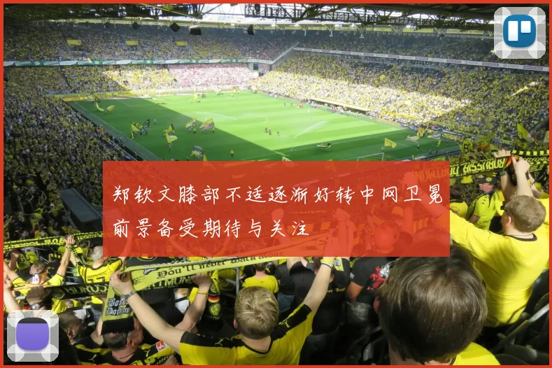 郑钦文膝部不适逐渐好转中网卫冕前景备受期待与关注